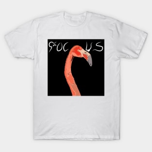 FOCUS (Plain Black) art.. T-Shirt